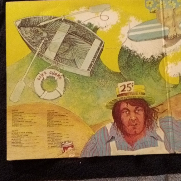 VINTAGE THE BEACH BOYS ENDLESS SUMMER 2 RECORD ALBUMS WITH POSTER - Picture 3 of 12